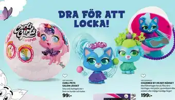 Lekia Curli pets salon lekset erbjuda