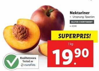 Lidl Nektariner erbjuda
