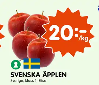 Tempo Svenska Äpplen Sverige, klass 1, Elise erbjuda