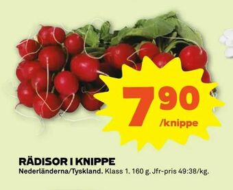 Stora Coop Rädisor i knippe erbjuda