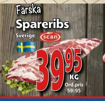 Supergrossen Färska Spareribs erbjuda