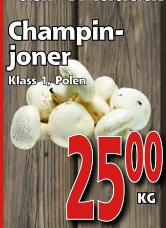 Supergrossen Champinjoner erbjuda