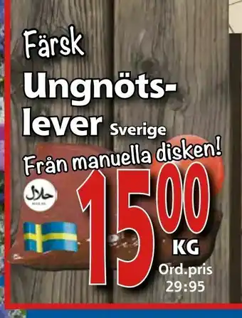 Supergrossen Färsk Ungnötslever erbjuda