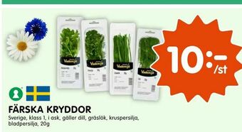 Tempo Färska kryddor erbjuda