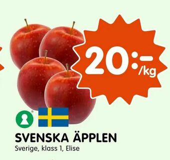 Tempo Svenska äpplen erbjuda