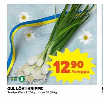 Coop Extra Gul lök i knippe erbjuda