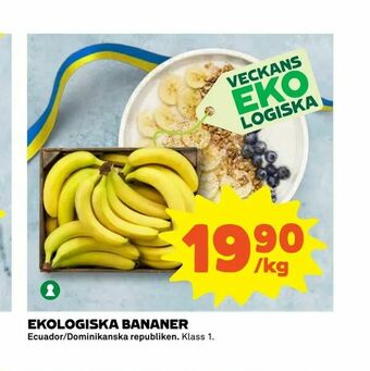 Ekologiska bananer