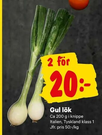 City Gross Gul lök erbjuda