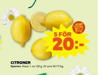 Citroner