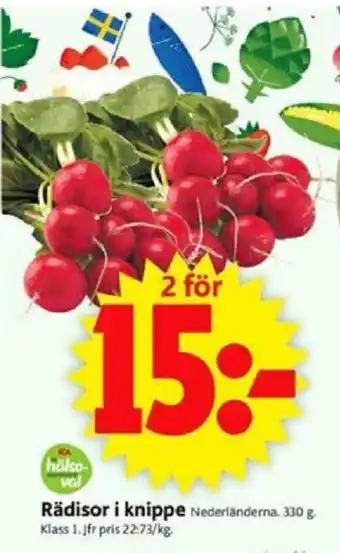 Rädisor i knippe 330g