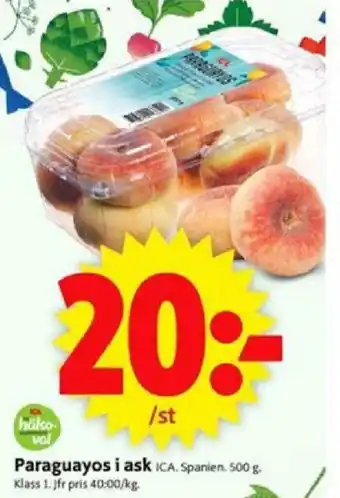 Paraguayos i ask 500g