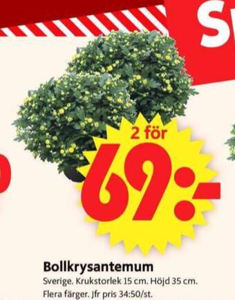 ICA Supermarket Scan plantor erbjuda