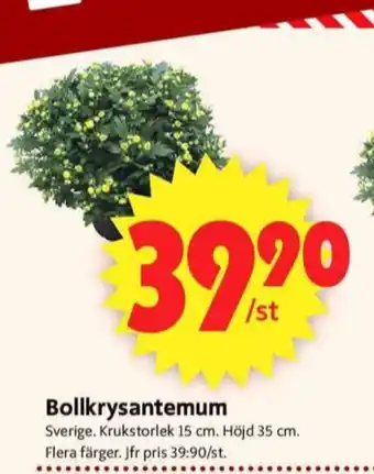 ICA Supermarket Scan plantor erbjuda