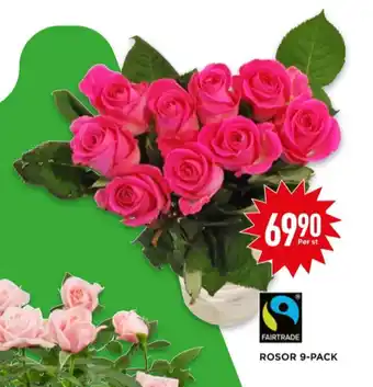 Ica blommor