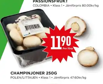 Nestlé champinjoner