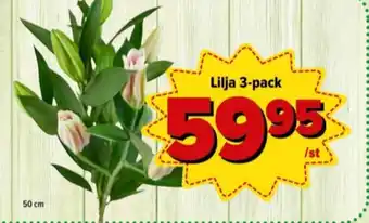 Östenssons Ica blommor erbjuda