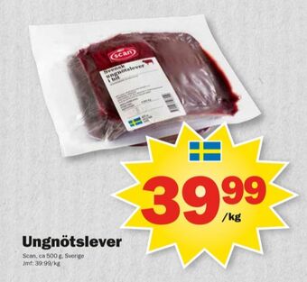 Pekås Scan ungnötslever erbjuda