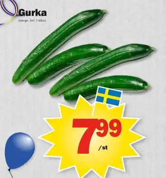 Pekås Scan gurka erbjuda
