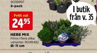 Jem&Fix Hebe mix erbjuda