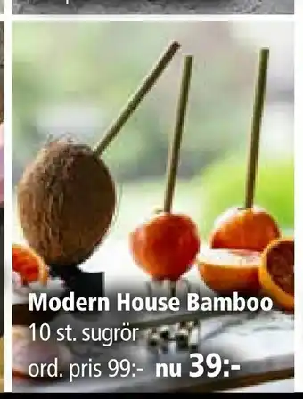 Modern House Bamboo 10 st. sugrör