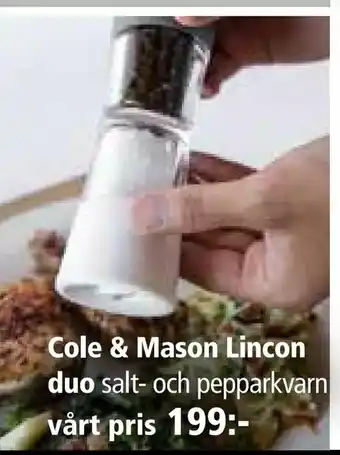 Cole & Mason Lincon duo salt och pepparkvarn