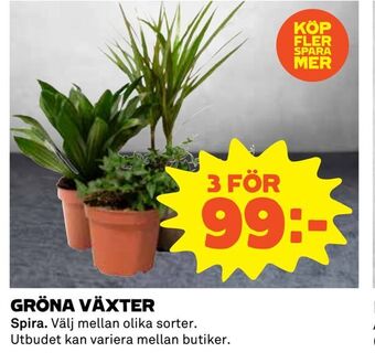 Gröna växter