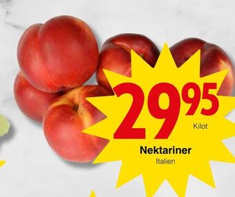 Matöppet Nektariner erbjuda