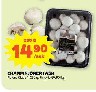 Stora Coop Champinjoner i ask erbjuda