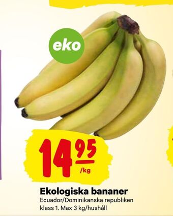 Ekologiska bananer