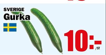 Matdax Gurka erbjuda