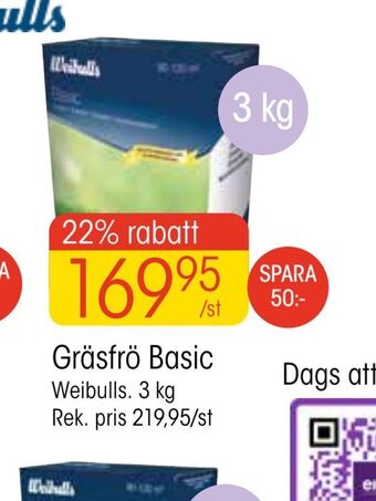 EKO Gräsfrö basic erbjuda