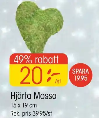 EKO Hjärta mossa erbjuda
