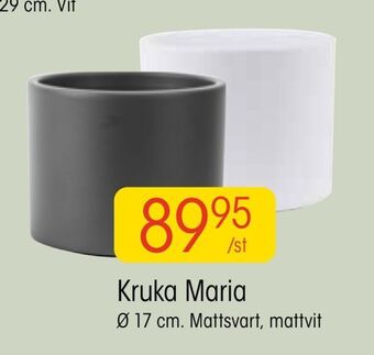 EKO Kruka maria erbjuda