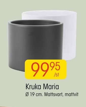 EKO Kruka maria erbjuda
