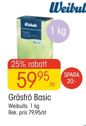 EKO Gräsfrö basic erbjuda