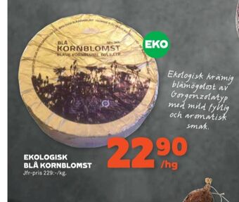 Stora Coop Blå kornblomst mögelost erbjuda