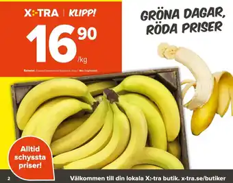 Guldfågeln bananer