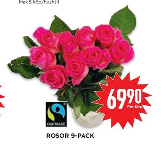 Willys Hemma Rosor 9-pack erbjuda