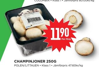 Champinjoner 250g
