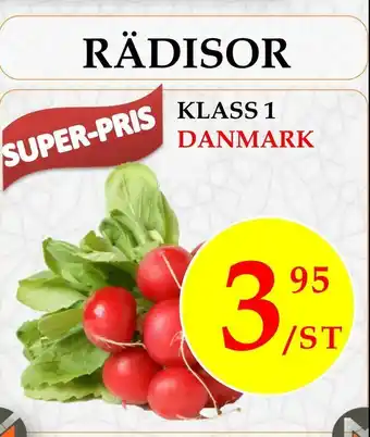 Danmark Rädisor