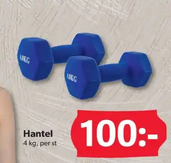 Dollarstore hantelset