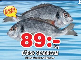 Nya Pulsen Färsk seabream erbjuda