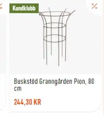 Buskstöd Granngården Pion 80 cm