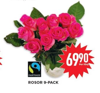 Willys Rosor 9-pack erbjuda