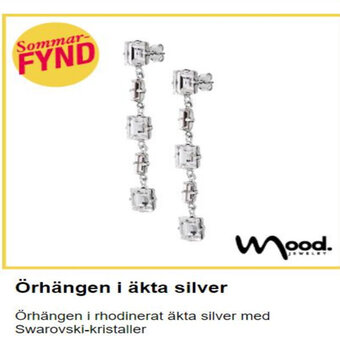 Guldfynd örhängen i äkta silver erbjuda