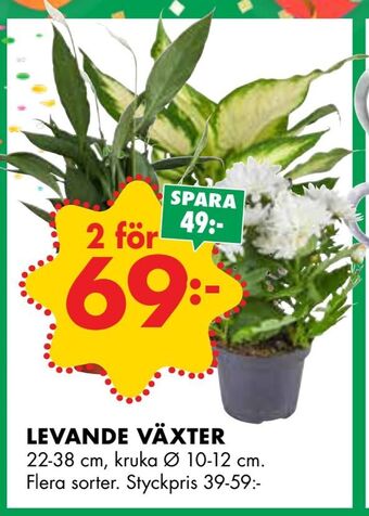ÖoB Levande växter erbjuda