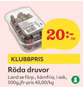 Röda druvor