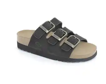 Scholl