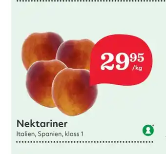 Hemköp Jakobsdals nektariner erbjuda