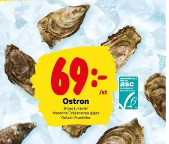 City Gross Ostron erbjuda